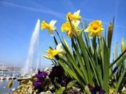 Varal do Brasil com Novidades