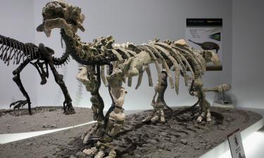 Descoberta em Shanxi: o dinossauro que desafiava predadores