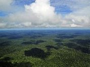 Olhares sobre a Amazônia: Dossiê Acre