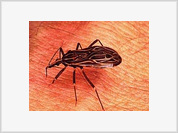 Mal de Chagas: espanto que se urbaniza