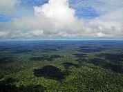 Os pontos nos "i" na Amazônia