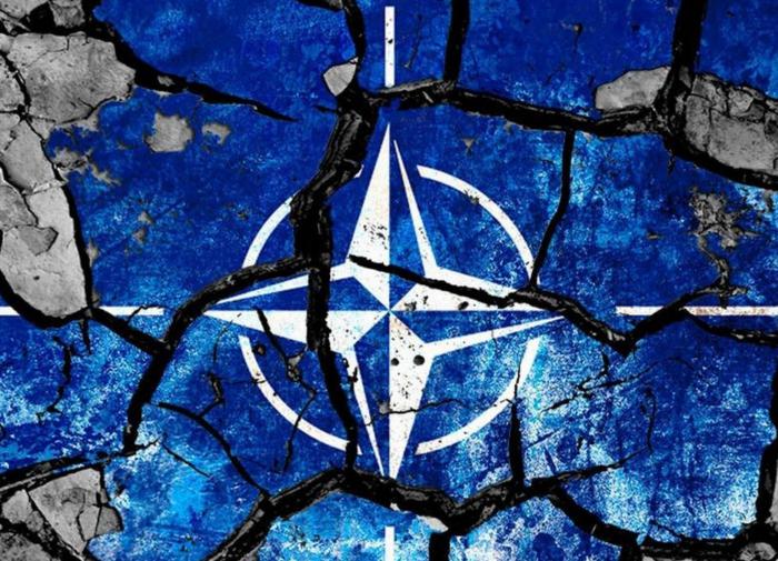 Analista político: os EUA precisam da adesão da Finlândia e da Suécia à OTAN para conter a Rússia