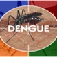 Dengue: MS mobiliza gestores do Nordeste