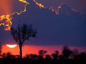 "Alteram-se as tendências, na disputa por recursos vitais"