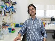 Nanopartícula para combate ao cancro desenvolvida na UC obtém designação de "medicamento órfão"