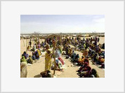 Darfur: Mais um motorista da ONU assassinado