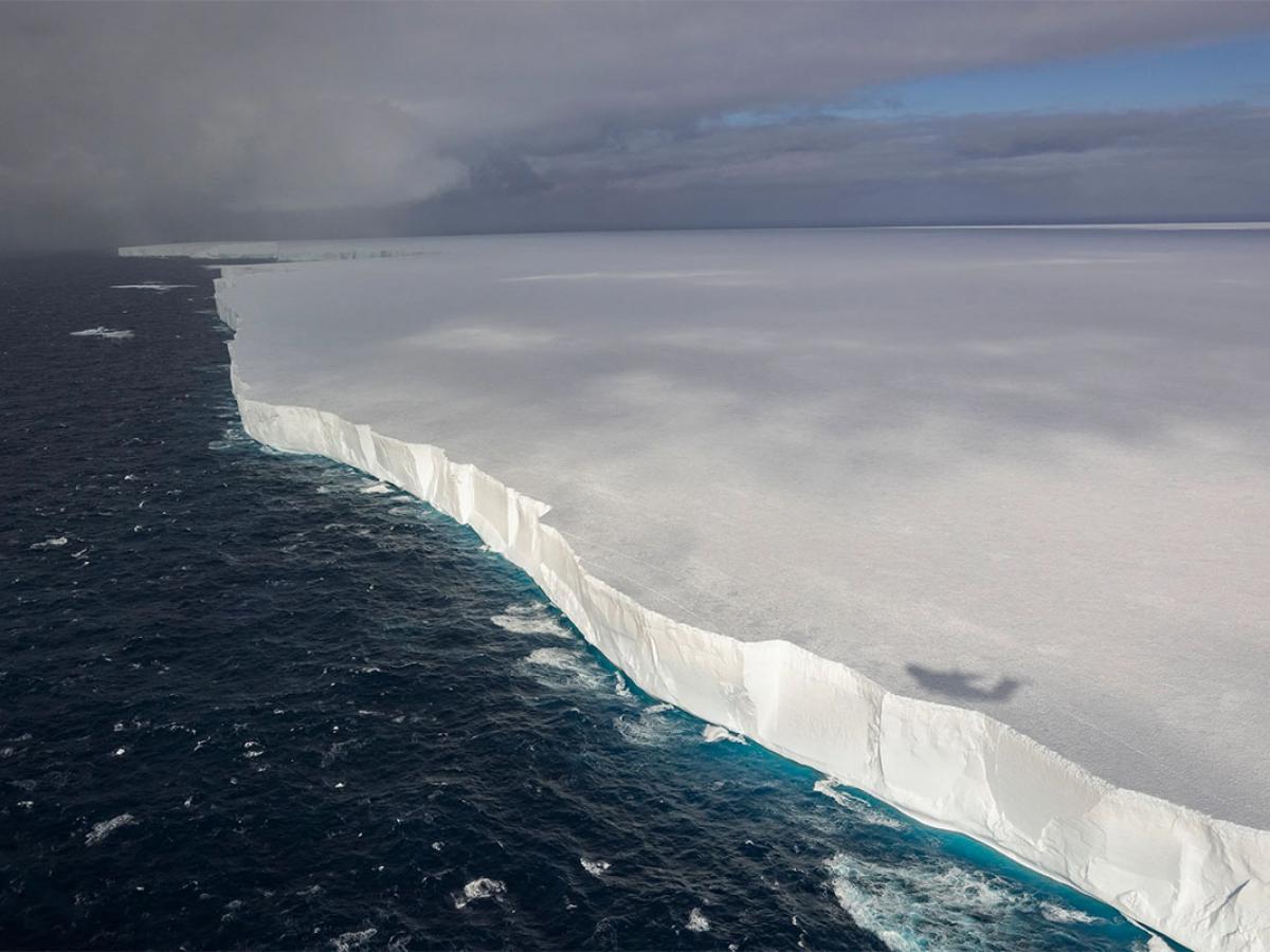 Gigante de gelo A23a ruma para a Geórgia do Sul: cientistas monitoram impacto ecológico
