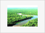 Brasil: Seminário discutirá empreendimentos para a Amazônia em Rondônia