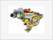 Brasil lança campanha internacional para atrair turistas