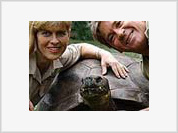 Morreu Steve Erwin,  conhecido como "caçador de crocodilos"
