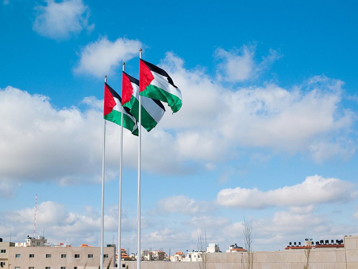 Palestinando: Arte e resistência pelas crianças e vítimas da guerra na Palestina