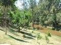 Prefeitura de Itabirito realizará Consulta Pública online para ampliação de seu Parque Ecológico