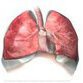 Doenças respiratórias: Avanço para desportistas