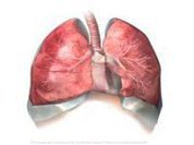 Doenças respiratórias: Avanço para desportistas