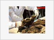 Múmia chinesa foi enterrada com folhas de maconha