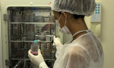 Câncer de pele é o mais comum no Brasil; diagnóstico precoce garante alta taxa de cura