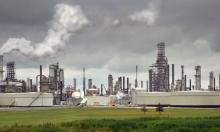 Greenwashing: especialistas alertam para falsos rótulos sustentáveis no consumo diário