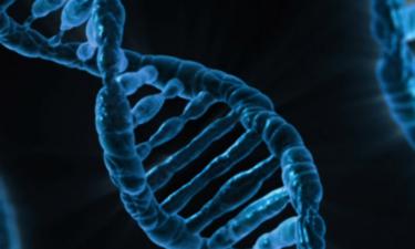 DNA "lixo" pode esconder a chave para combater o câncer — nova pesquisa surpreende a ciência