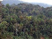 Semana do Meio Ambiente 2018 - Ecologia Integral Diocese de Umuarama