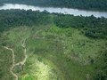 Desmatamento, invasões e incêndios ameaçam Áreas Protegidas no Xingu