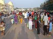 Parque natural guineense é ameaçado por central termoelétrica