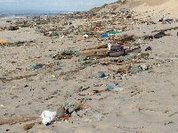 Brigada do Mar limpa 45 kms de praia na costa alentejana