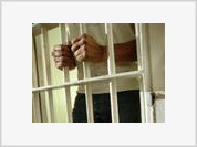 Prisão em Almeirim  Montado em risco