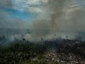 Novo arco do desmatamento: fronteira de destruição avança em 2019 na Amazônia