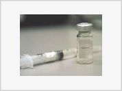 Gripe suína  real tratamento e prevenção - o uso inteligente dos fitoterápicos/alopático BPTUZ e BPUZ