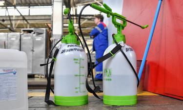 Como eliminar baratas da sua casa de forma eficaz e segura, segundo especialistas