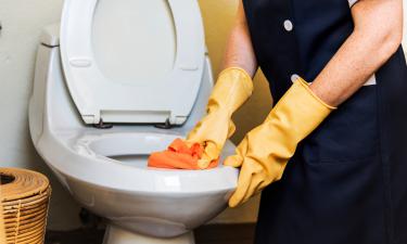 Como manter o banheiro sempre fresco sem produtos químicos: truques naturais que funcionam