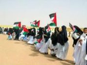 Descolonização do Sahara Ocidental, dívida mundial com o povo saharaui