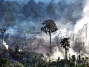 Aumento de desmatamento e queimadas deve piorar crise de Covid-19 no Xingu