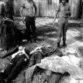 Araguaia: o massacre que as Forças Armadas querem apagar