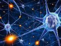 A estrutura do cérebro humano é semelhante à do universo