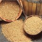 Rússia entrega 23.000 toneladas de trigo na Cuba