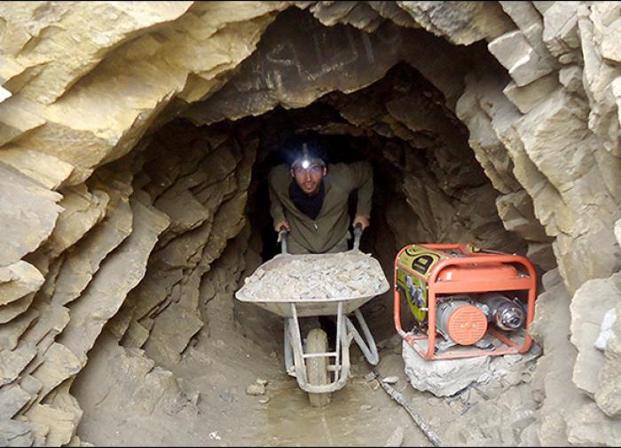 Fóssil de 460 milhões de anos encontra um novo lar na UNESCO
