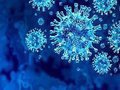 Efeitos econômicos da pandemia Covid-19 derrubam Uruguai