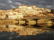 Coimbra: Teste pioneiro permite substituir teste em animais