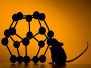 Comer menos e viver mais tempo: Equipe científica descobriu chave para a longevidade