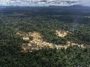 Mapa inédito indica epidemia de garimpo ilegal na Panamazônia