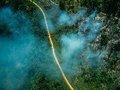 Tragédia anunciada: organizações alertam para explosão do desmatamento na Amazônia Legal