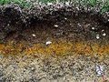 PEV: Audição Pública sobre Solos Contaminados