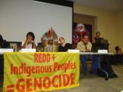 Povos Indígenas contra compensação de carbono
