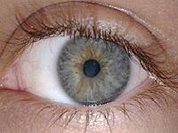 Diagnóstico do olho seco ganha mais precisão