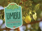 Inteligência Ambiental:  Festa do Umbu e da Vida em Uauá
