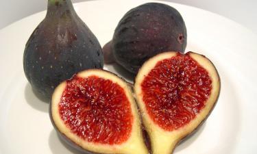 Como cultivar figueiras no frio — tipos que resistem a temperaturas negativas