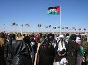 Sahara Ocidental: PODEMOS entra na greve de fome