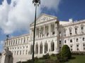PEV questiona CML sobre utilização de sopradores de folhas