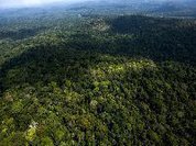 Proteção do clima está sendo esvaziada na Amazônia